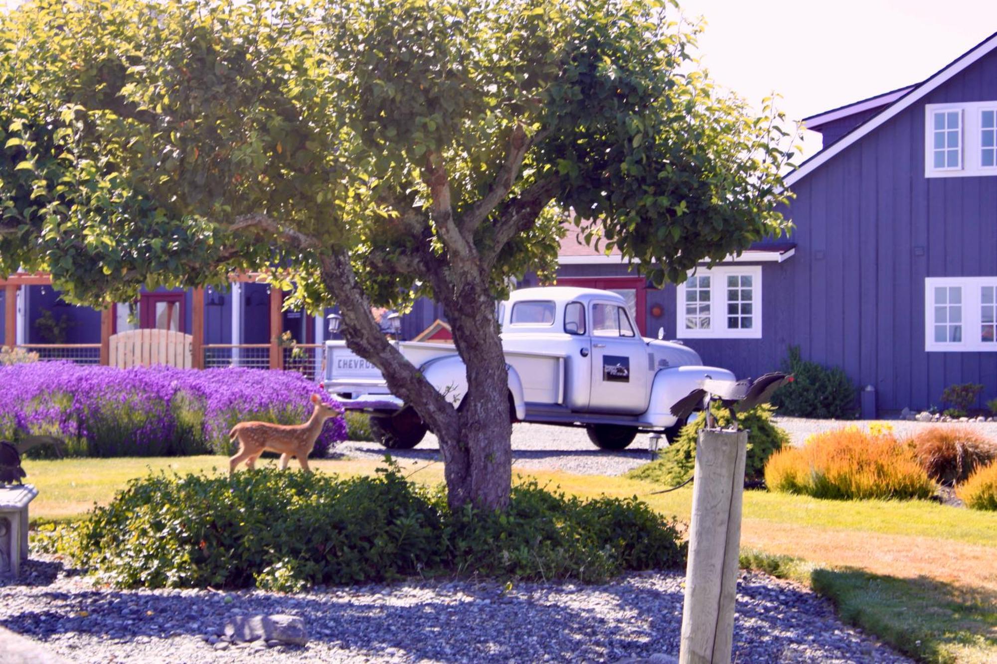 Dungeness Barn House Bed And Breakfast At Two Crows Farm Sequim Exteriör bild