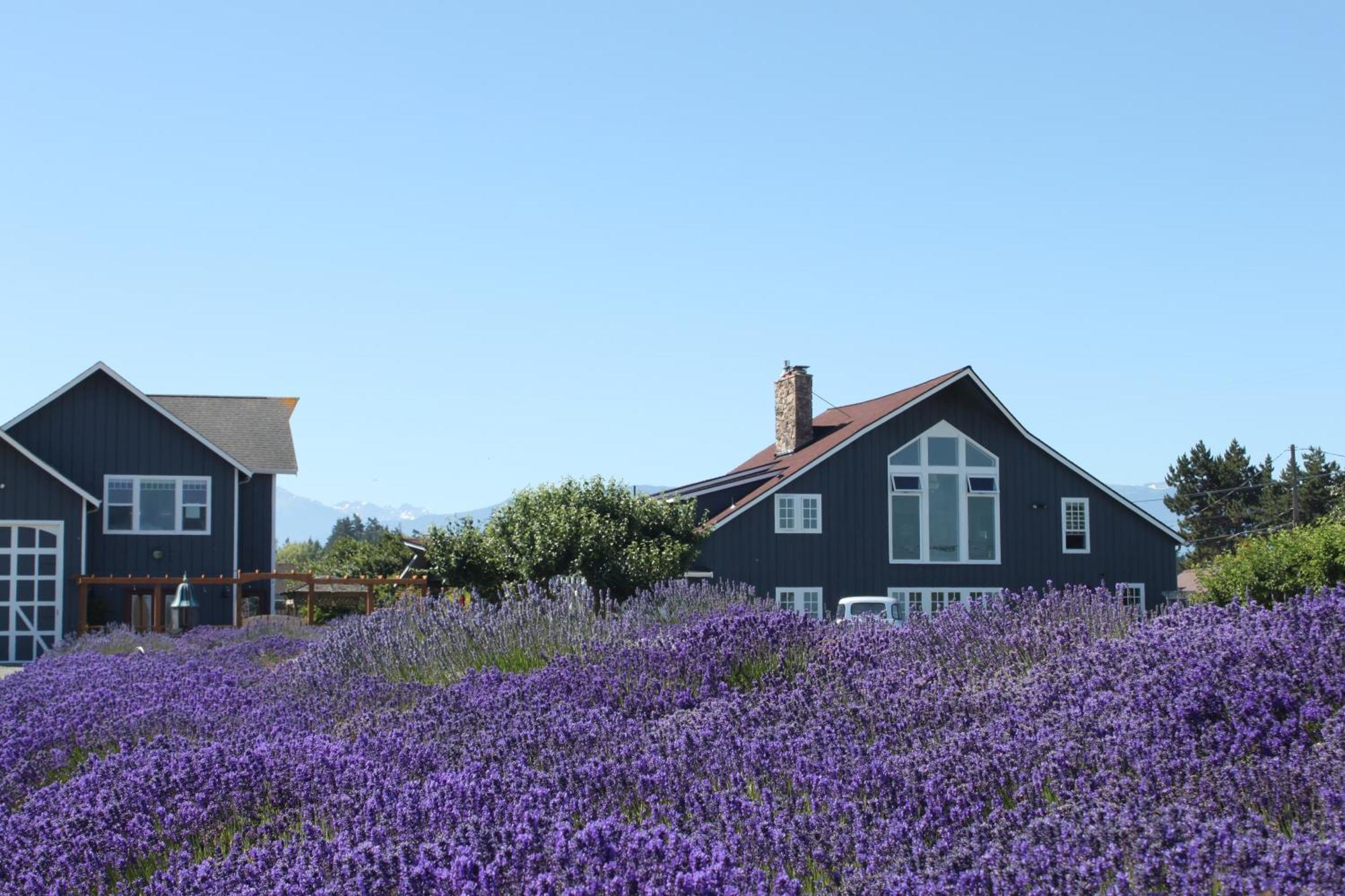 Dungeness Barn House Bed And Breakfast At Two Crows Farm Sequim Exteriör bild